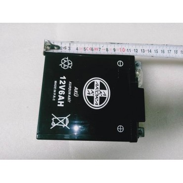 Arora Ars 200 Akü 12V- 6Ah.