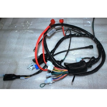 Arora Quantum  Elektri̇k Tesi̇sati (Euro 5)