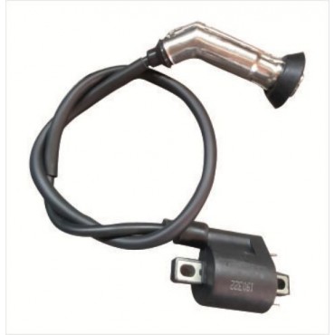 Arora Special Alfa 110 Ateşleme Bobi̇ni̇ (Euro 3)