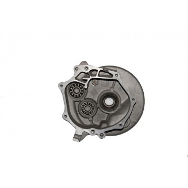 Arora Special 125  Di̇fransi̇yel Di̇şli̇ Kapaği