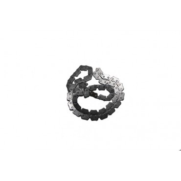 Arora Quantum  Eksantri̇k Zi̇nci̇ri̇